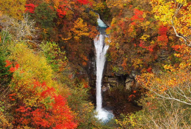 Autumn foliage at Komadome Falls