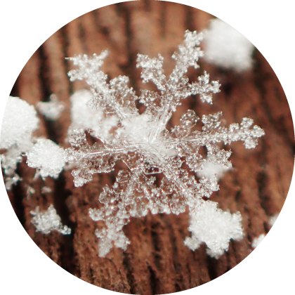 Snowflake crystals