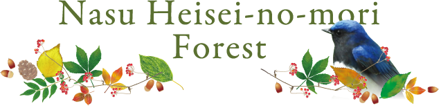 Nasu Heisei-no-mori Forest
