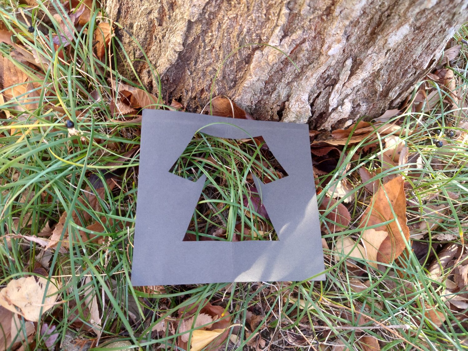 30分無料ミニプログラム