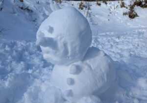 20251207 雪の様子 雪だるま