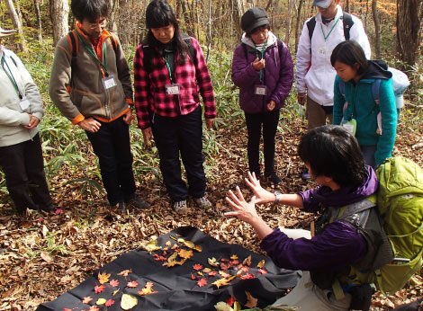 30分無料ミニプログラム