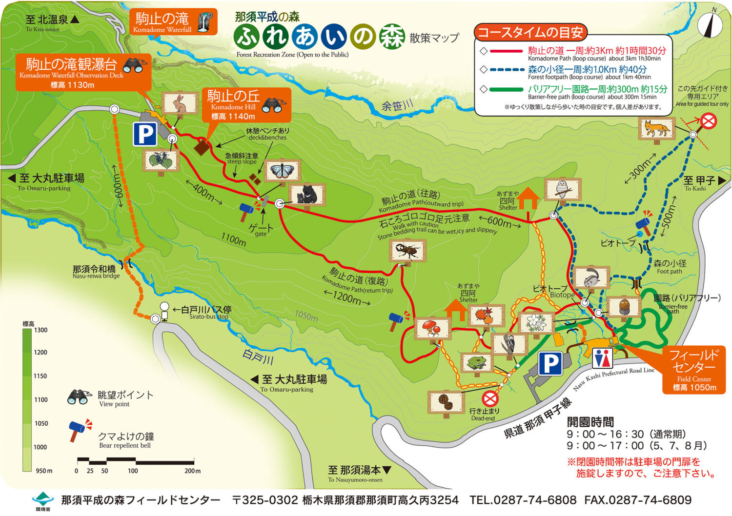 夏の散策マップ