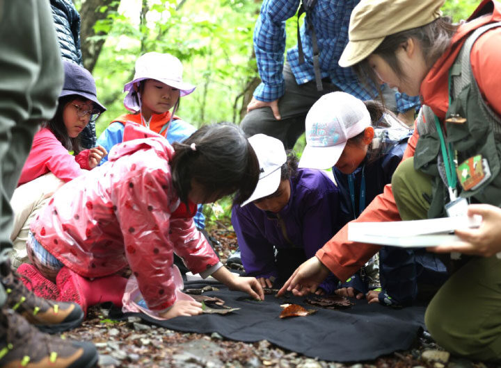 ファミリーコース