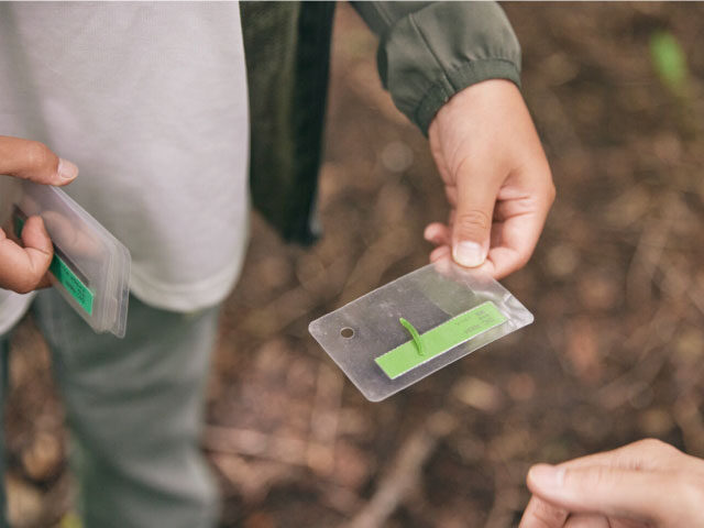 ファミリーコース